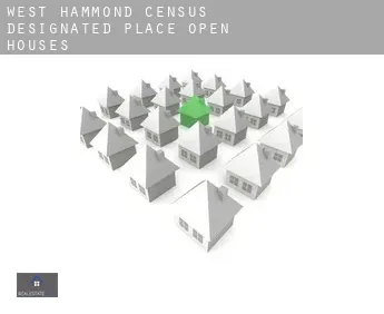 West Hammond  open houses