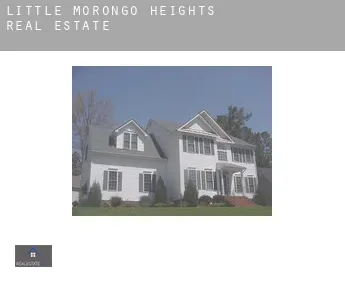 Little Morongo Heights  real estate