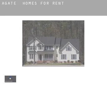 Agate  homes for rent