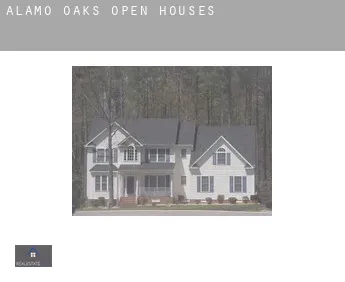 Alamo Oaks  open houses