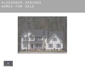 Alexander Springs homes for sale