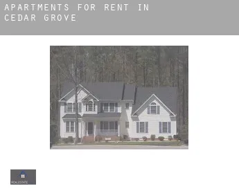 Apartments for rent in  Cedar Grove