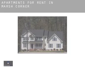 Apartments for rent in  Marsh Corner