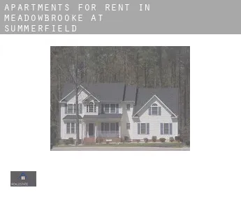 Apartments for rent in  Meadowbrooke at Summerfield