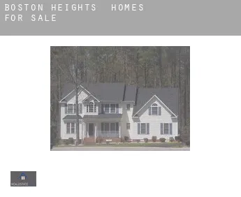 Boston Heights  homes for sale