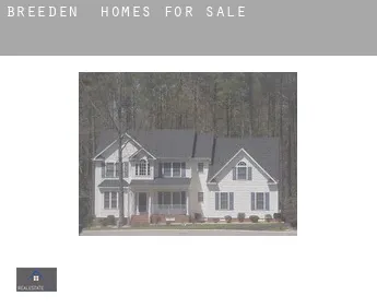 Breeden  homes for sale