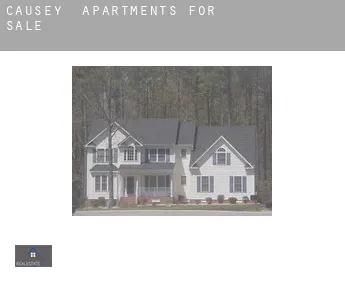 Causey  apartments for sale