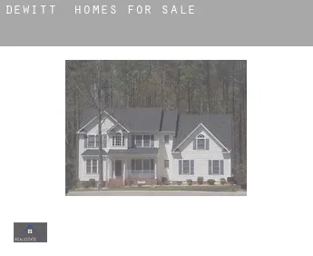 Dewitt  homes for sale