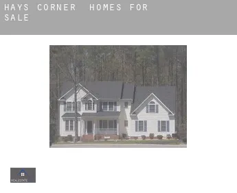 Hays Corner  homes for sale