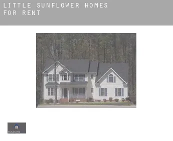 Little Sunflower  homes for rent