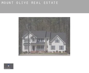 Mount Olive  real estate