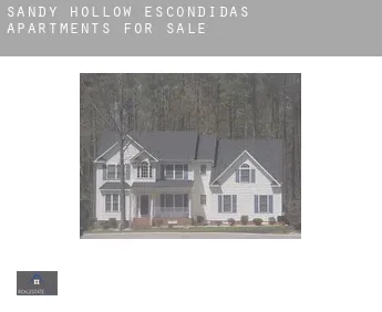 Sandy Hollow-Escondidas  apartments for sale