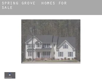 Spring Grove  homes for sale