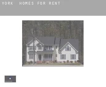 York  homes for rent