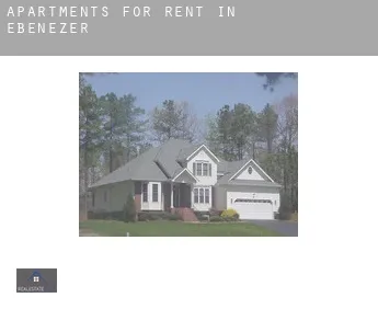 Apartments for rent in  Ebenezer