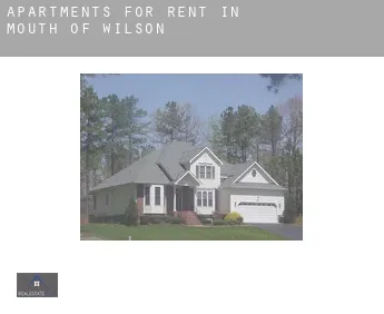 Apartments for rent in  Mouth of Wilson