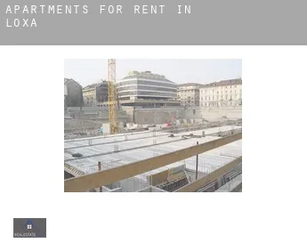 Apartments for rent in  Loxa