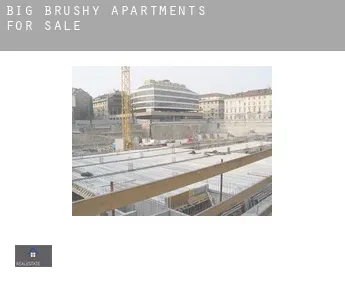 Big Brushy  apartments for sale