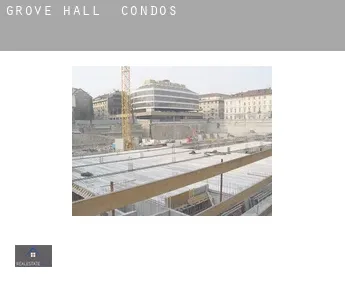 Grove Hall  condos