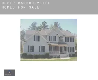 Upper Barbourville  homes for sale