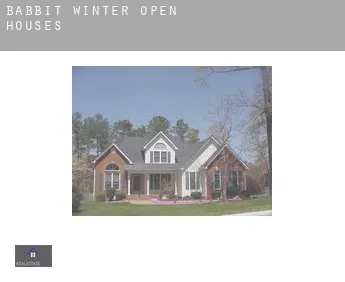Babbit Winter  open houses