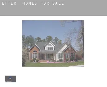Etter  homes for sale