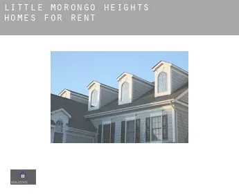 Little Morongo Heights  homes for rent