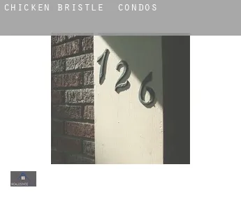 Chicken Bristle  condos