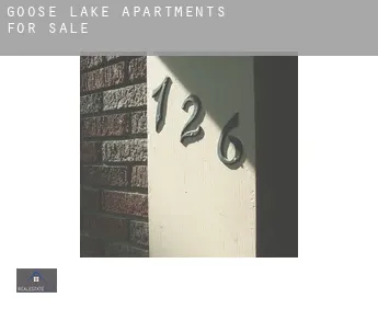 Goose Lake  apartments for sale