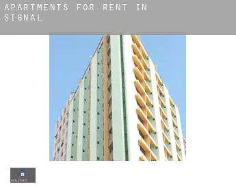 Apartments for rent in  Signal